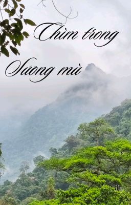 Chìm trong sương mù