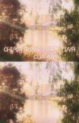 chìm trong thâm tình của anh