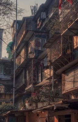 chípmeo|sài gòn