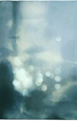 Chó dữ khó nuôi