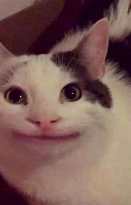 Chó lớn và chó nhỏ (18+💥🆘)