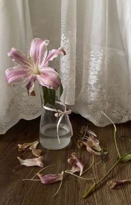 chodeft | giả vờ