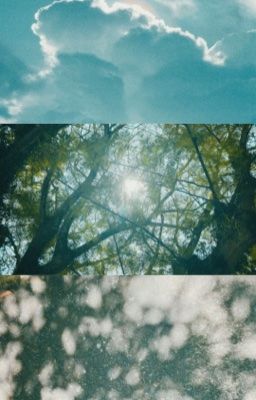 [CHODEFT]- Sau cơn mưa