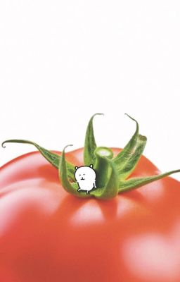 _ChoDeft_ Thuê trọ