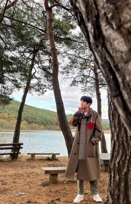 Choi Woo Shik, cậu đã rất cố gắng!