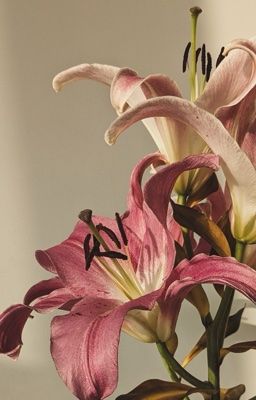 CHOKER ✧ HIATUS ✧ Exit Sign