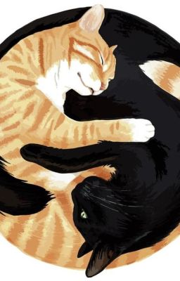 [Choker/JeongLee] Things I hate about you