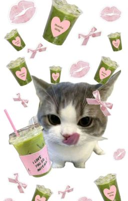 choker ✓ mèo thích ăn cá