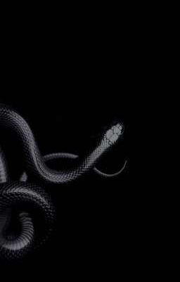 Choker| Nhiệm Vụ Tối Mật