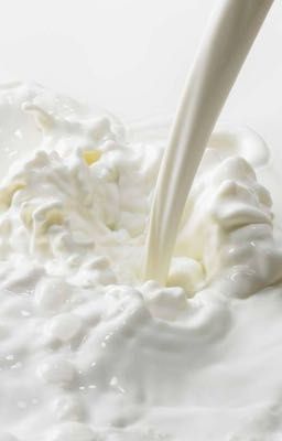 Choker || No Nut November