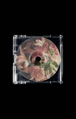 Choker | Rất gần