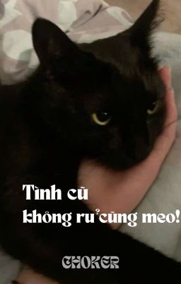 [Choker] Tình cũ không rủ cũng meo