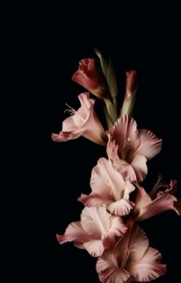 [chokiin] personal s€x instructor