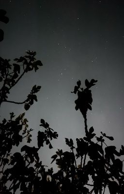 [Chonut] Hẹn gặp anh ở chung kết