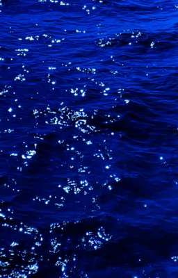 『Chonut』Kairosclerosis