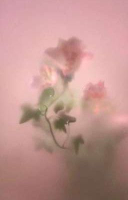 choran ; chúng ta của hiện tại 