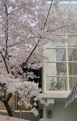 choran | đừng đọc fanfic lúc nửa đêm