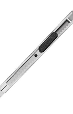 choran. his happy ending