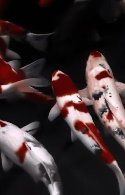 [ Choran ] - Phược Thần