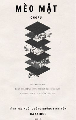 | choru | mèo mật