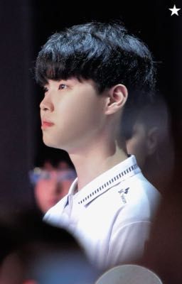[ Chovy ] Thương