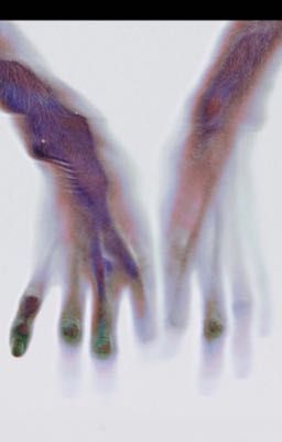Chúa Giòi