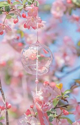 Chút hương hoa | Series | Chodeft | Nỗi nhớ mang tên anh
