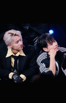 Chuyện nhà Thầy Ngọc và Bé Mèo Timeo