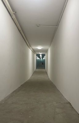 Chuyện Tuỳ hứng 