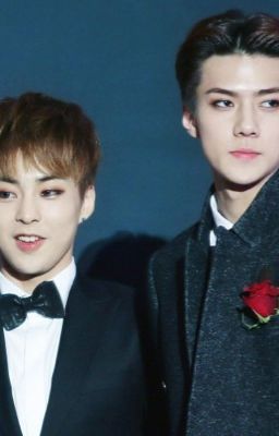 [Chuyển văn/SeMin] Tiểu ngốc Minseok vs Mặt dày Sehun.