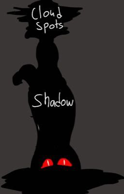 CloudSpots shadow