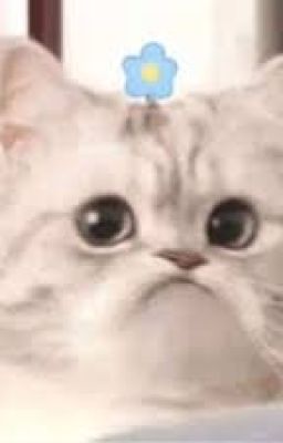 Có cùng 1 thế giới?