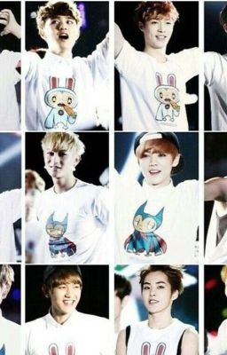 Cô fangirl kì lạ(EXO fanfic)