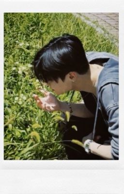 Có lá thư gửi từ thương nhớ