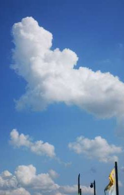 Có lẽ tớ thích cậu