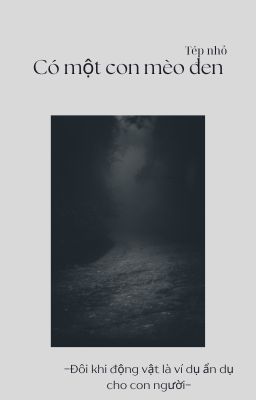 Có Một Con Mèo Đen