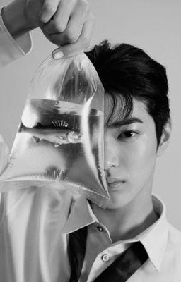 codylei| 1234