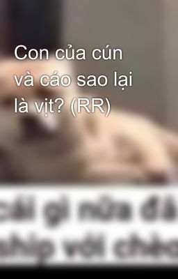 Con của cún và cáo sao lại là vịt? (RR)