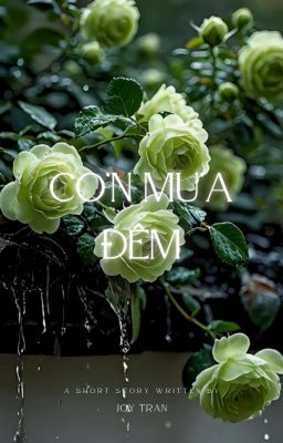 Cơn mưa đêm