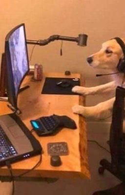  Cộng đồng game thủ.