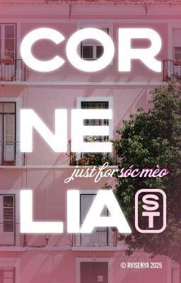 cornelia street | sóc mèo