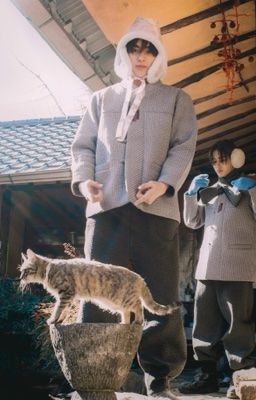Cortis, Keonho || Cún yêu ơi.