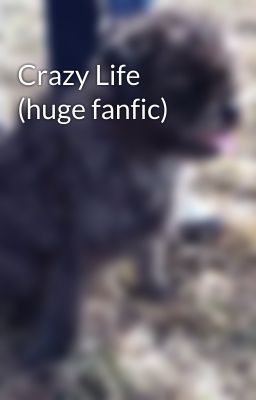 Crazy Life (huge fanfic)