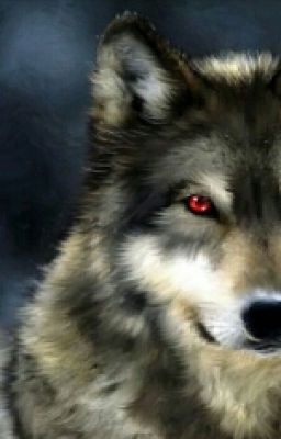 Creepypasta X Wolf!Child!Reader