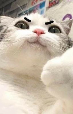 Cuộc Đời Của Ta Là Do Ta Quyết!