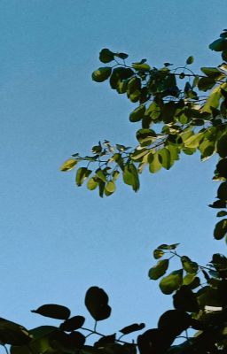 Cuộc Gặp Không Hẹn Từ Trước 