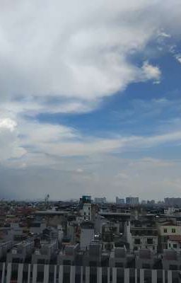Cuộc sống của tớ