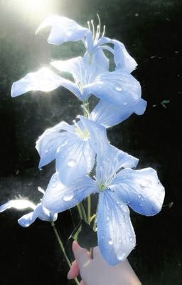 CườngLong; drabble(s)