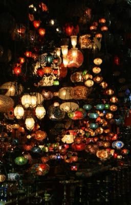 cvb.ndb; cún con to xác