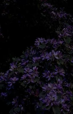  [Đã Drop]「Azuretime」|| Mộng  ( read description )  